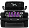 Mardi Gras Jeep Grille Insert