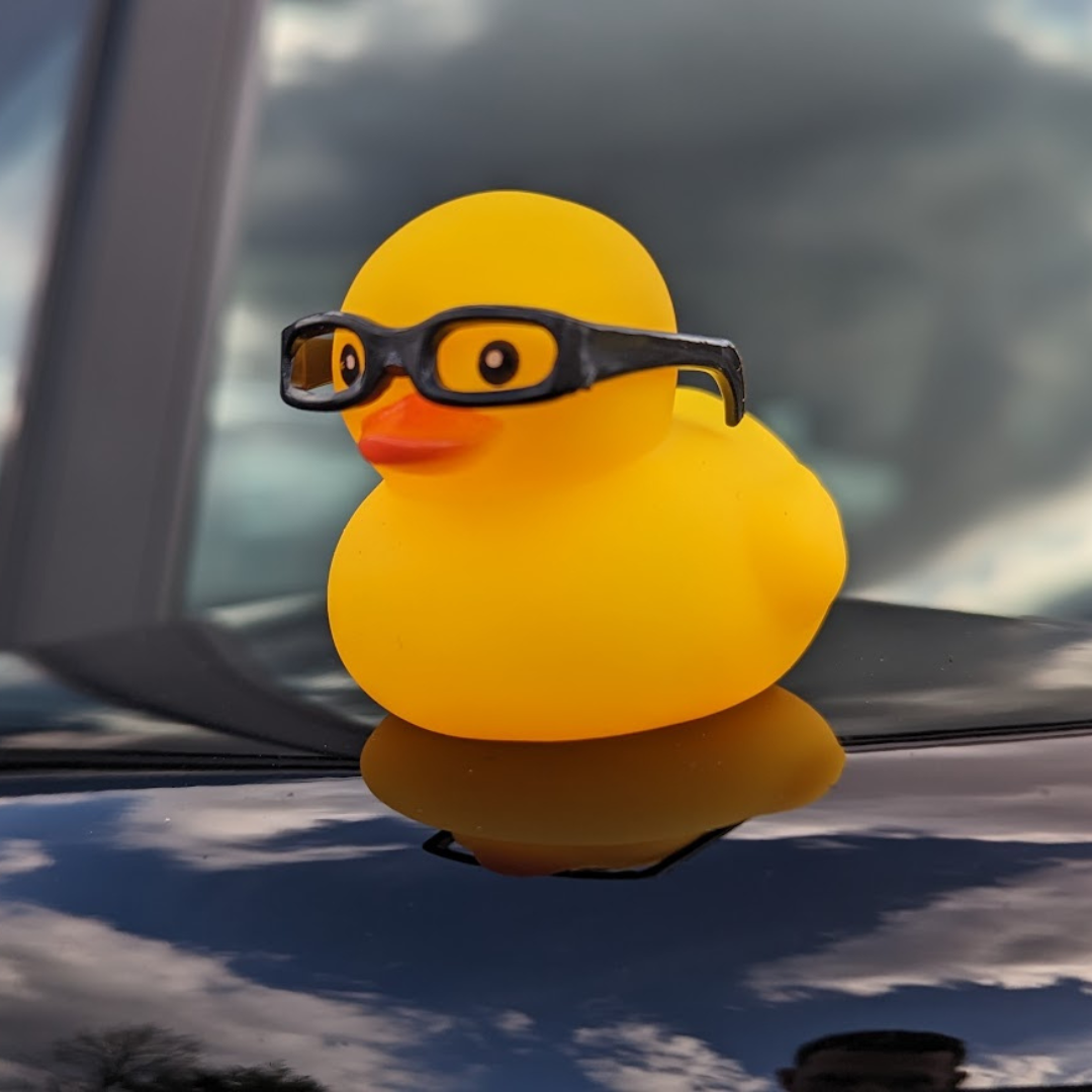 Jeep Ducks for Ducking (Heart Glasses) – Jeep World